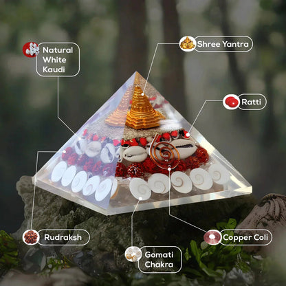Shri Yantra Gomati Chakra Laxmi Pyramid