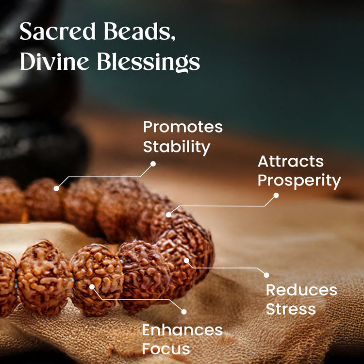 7 Mukhi Rudraksha Bracelet