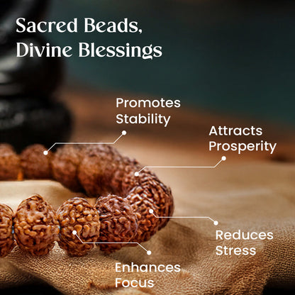 7 Mukhi Rudraksha Bracelet